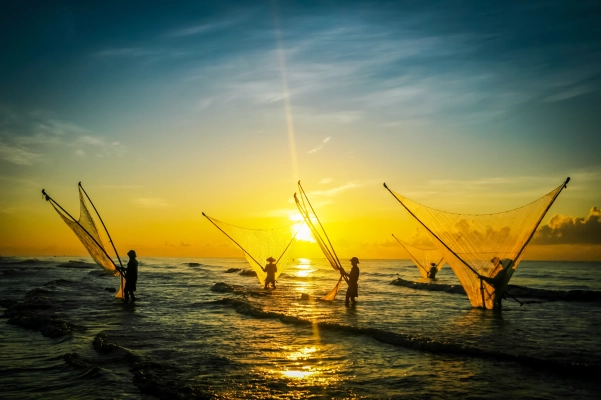 Vietnam fishing